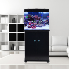 Xilong fish tank aquarium XQ series medium-sized ecological fish tank super white glass creative gol